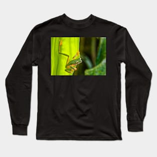 Cute Monkey Treefrog in the Rainforest Long Sleeve T-Shirt